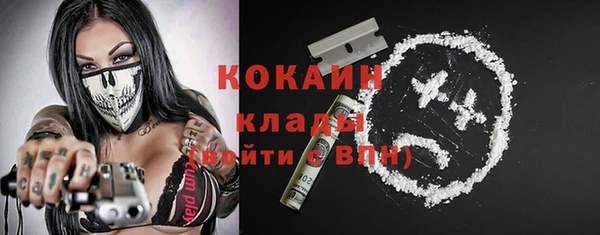 молекула духа Бородино