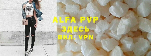 молекула духа Бородино