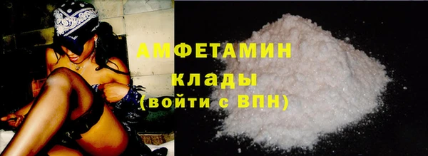 молекула духа Бородино