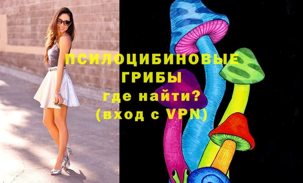 молекула духа Бородино