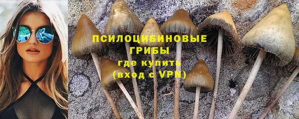 молекула духа Бородино