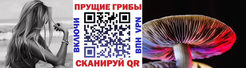 Галлюциногенные грибы прущие грибы  Вилючинск 